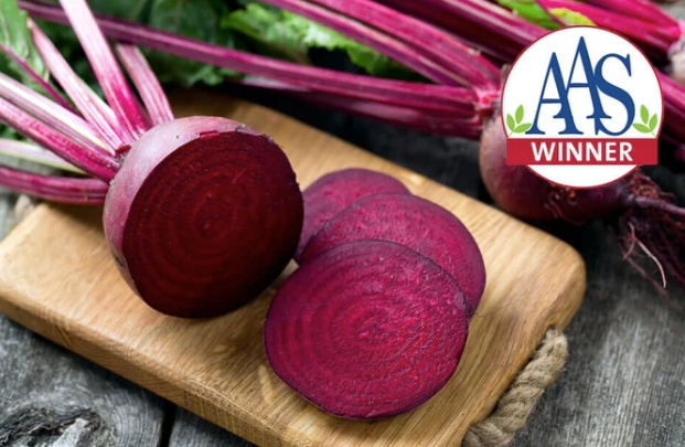 Detroit Dark Red Beet