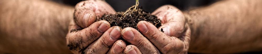 Seed Starting Mix