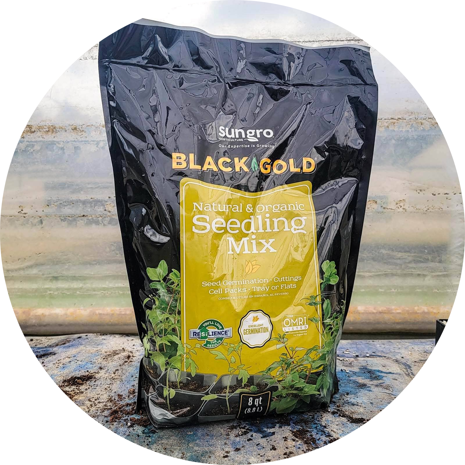Black Gold Seeding Starting Mix