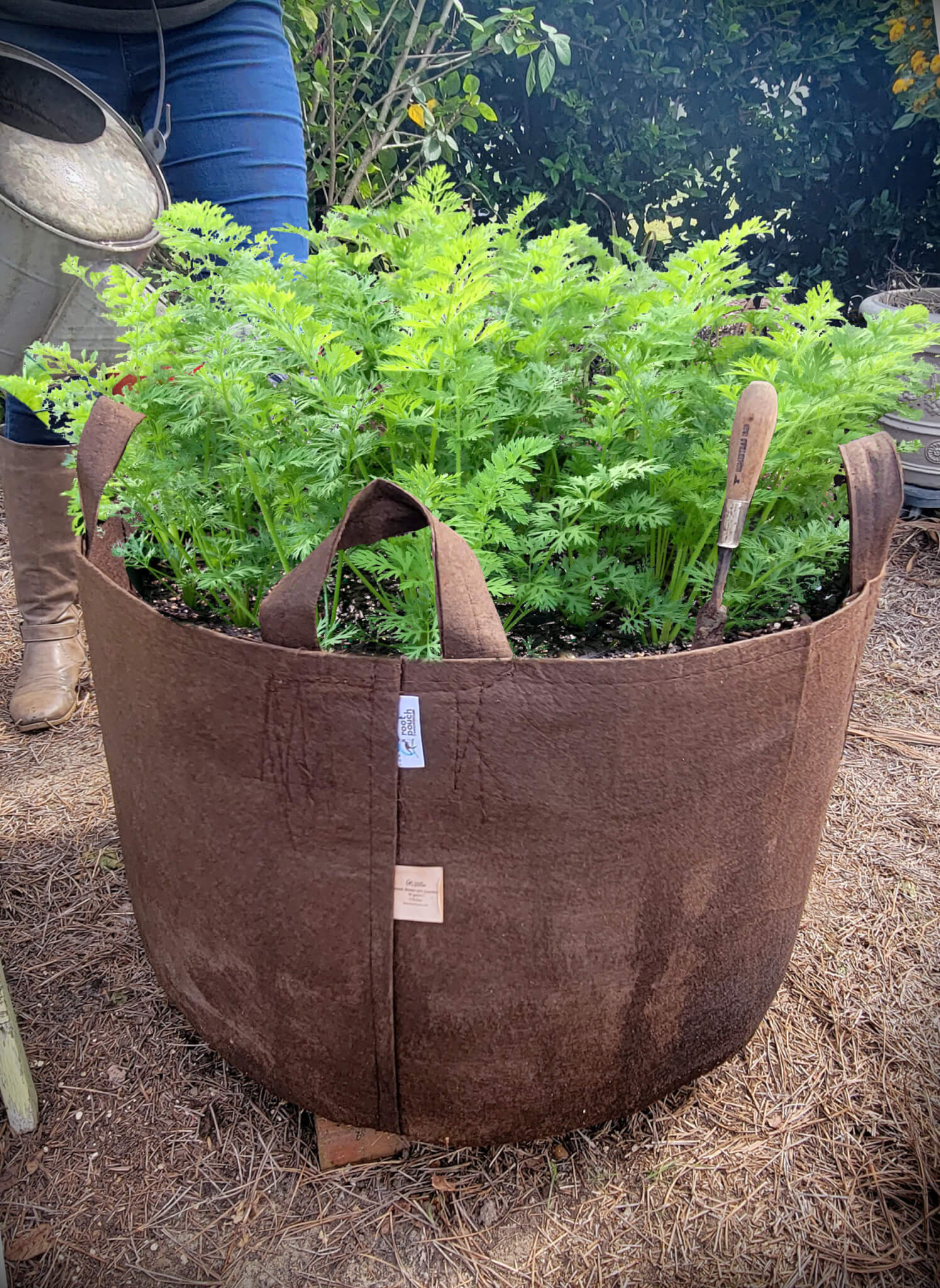 45-gallon Root Pouch