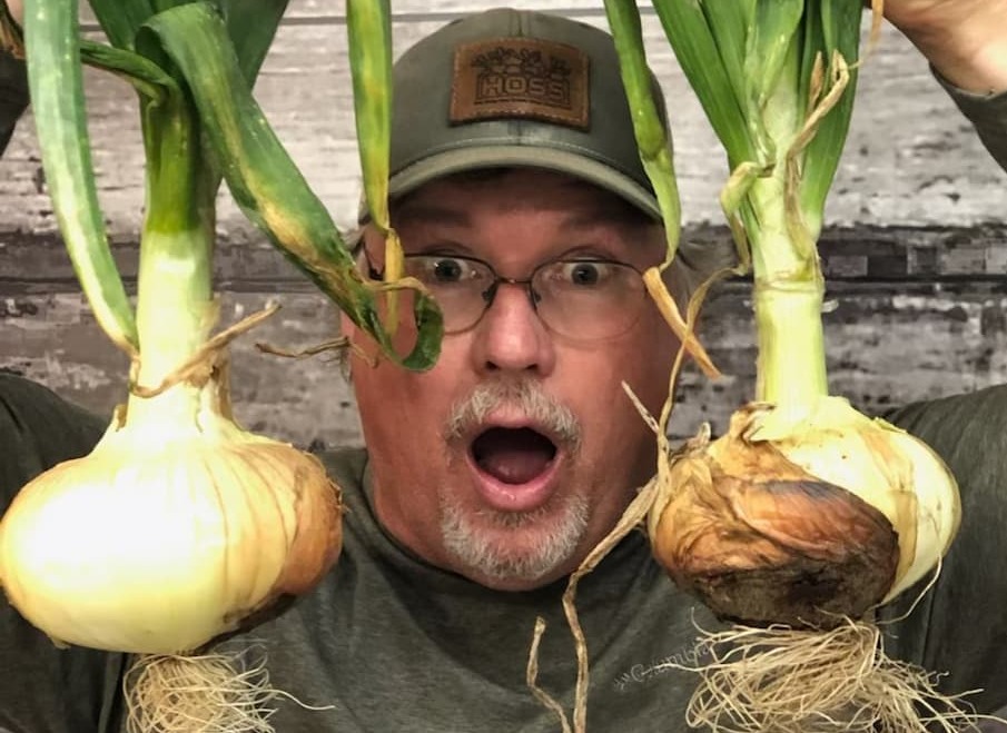 Onion Plant Pre-Sales