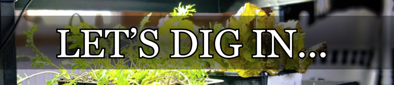 Onion Plant Pre-Sales
