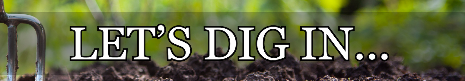 Plants-Bulbs