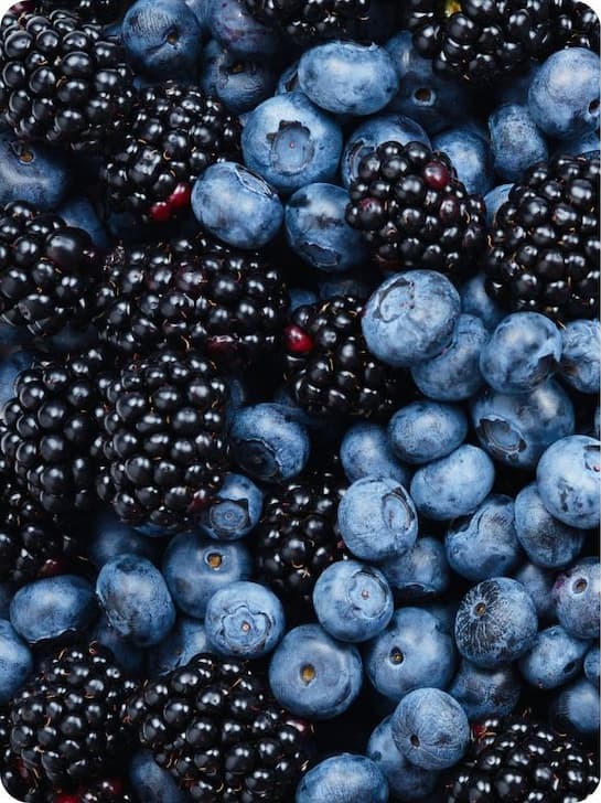 blueberries and blackberries mixed together. Top view. 