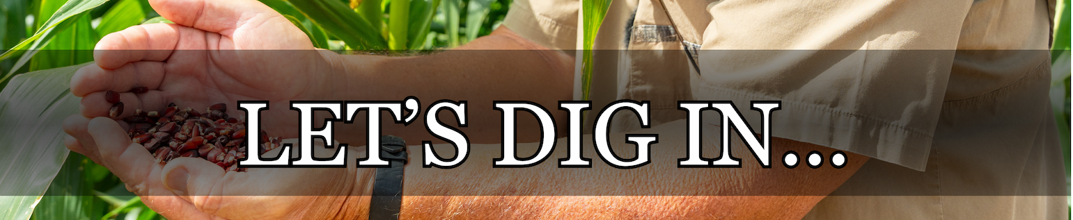 Field Corn