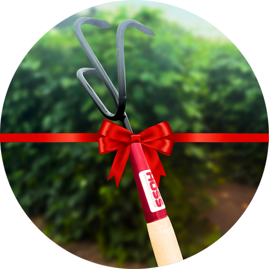 The Hoss Triple Tine Cultivator placed upright in a garden. A red gift ribbon is placed across the image. 