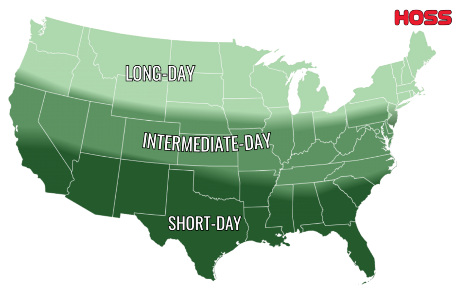 Hoss Onion Day Length Map