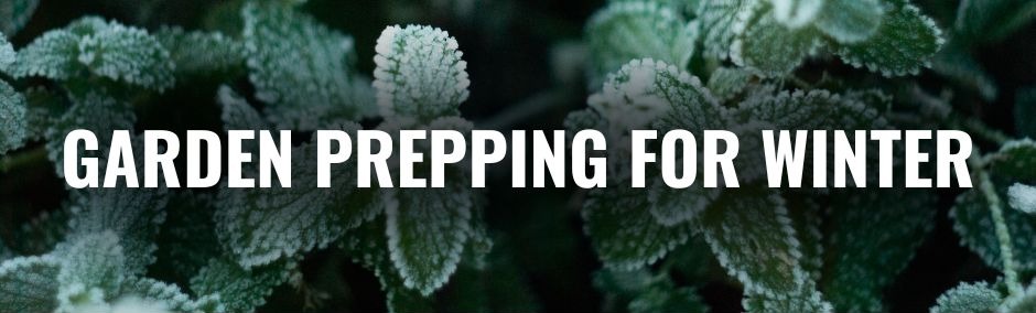 Frost-covered green plants with bold white text that reads “Garden Prepping for Winter.”