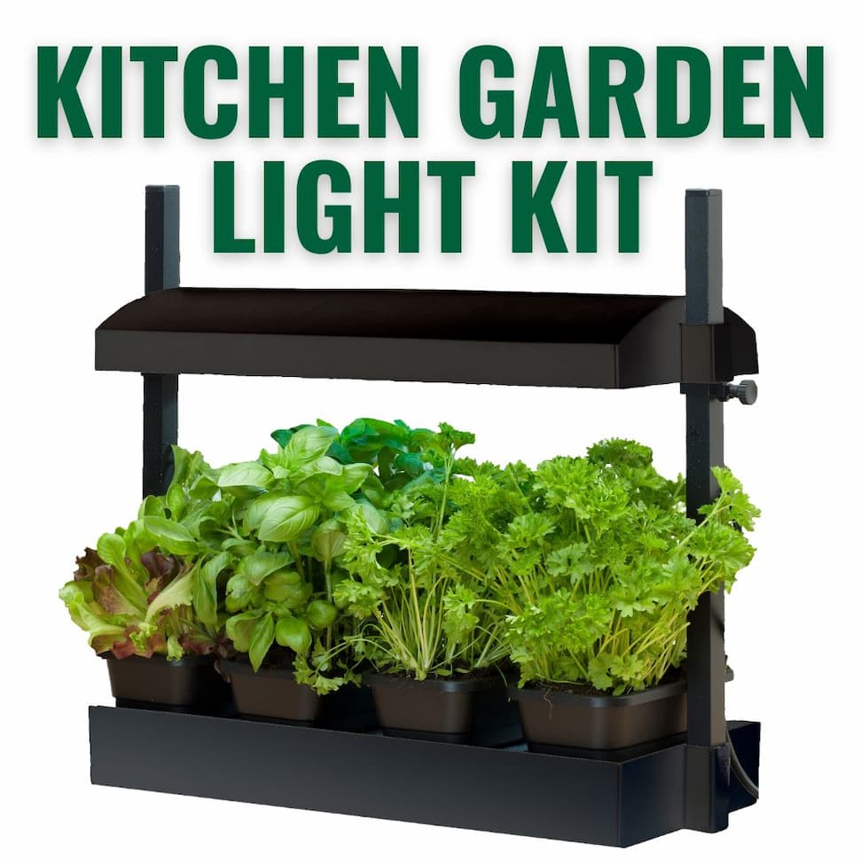 Indoor LED light kit growing fresh herbs and leafy greens in small seeding trays.