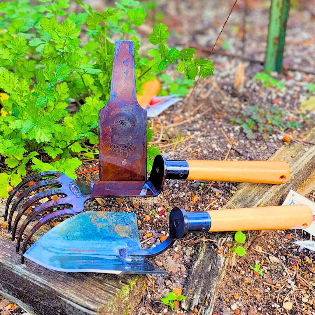 Three short-handle Hoe Dag garden tools, Hoe Dag, Hand Rake, and Hand Shovel, lying in a garden bed.