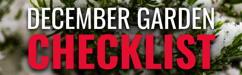Banner displaying “December Garden Checklist” text over a close-up image of green plants dusted with snow, highlighting a winter gardening theme.