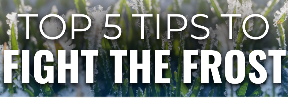 Banner with text "Top 5 Tips to Fight the Frost" over an image of frosted grass.