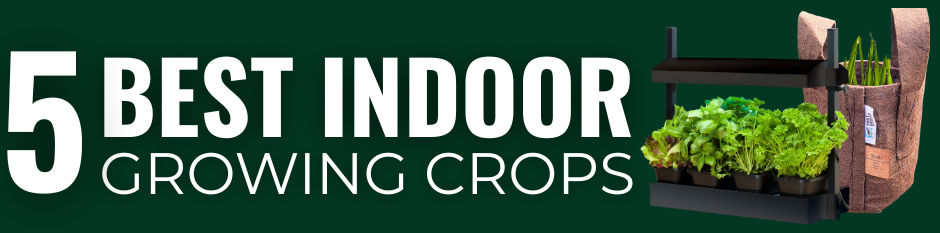 Graphic reading “5 Best Indoor Growing Crops” with an indoor light kit holding leafy green plants, in front of a root pouch growing green onions.