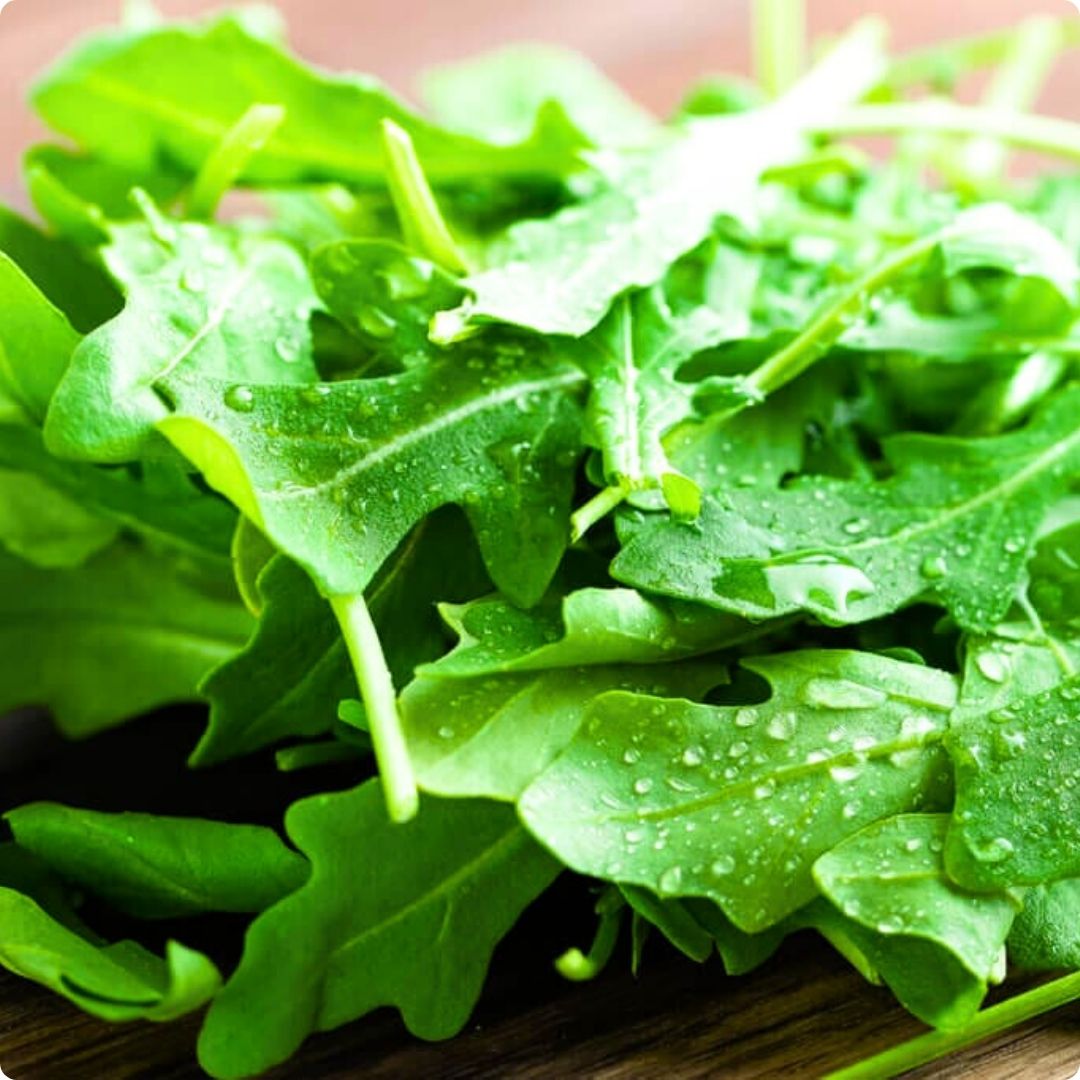 Loose pile of bright green arugula leaves with water droplets.