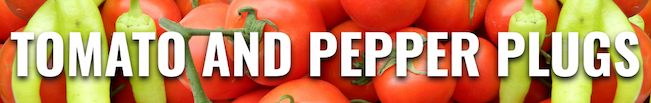 Banner featuring tomatoes and peppers in the background with bold text reading ‘Tomato and Pepper Plugs.