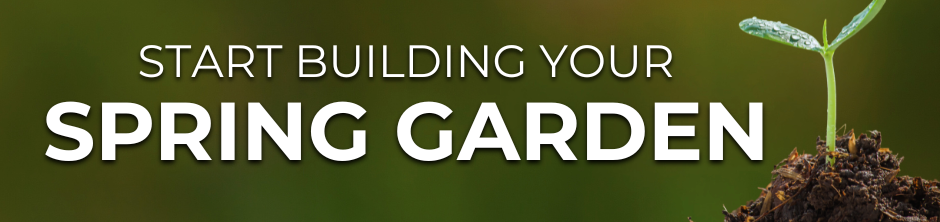 Green banner with a young seedling sprouting from soil and text reading ‘Start Building Your Spring Garden