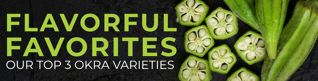 Sliced green okra pods on a dark background with bold text reading ‘Flavorful Favorites – Our Top 3 Okra Varieties.
