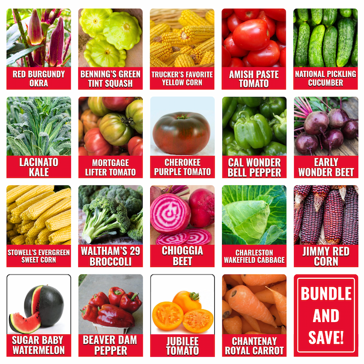 Grid of heirloom vegetable varieties including okra, squash, corn, tomatoes, cucumbers, kale, peppers, beets, broccoli, cabbage, carrots, watermelon, and more with ‘Bundle and Save’ promotion.