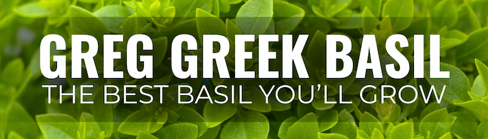 Close-up of Greg Greek Basil leaves with text "Greg Greek Basil – The Best Basil You’ll Grow."