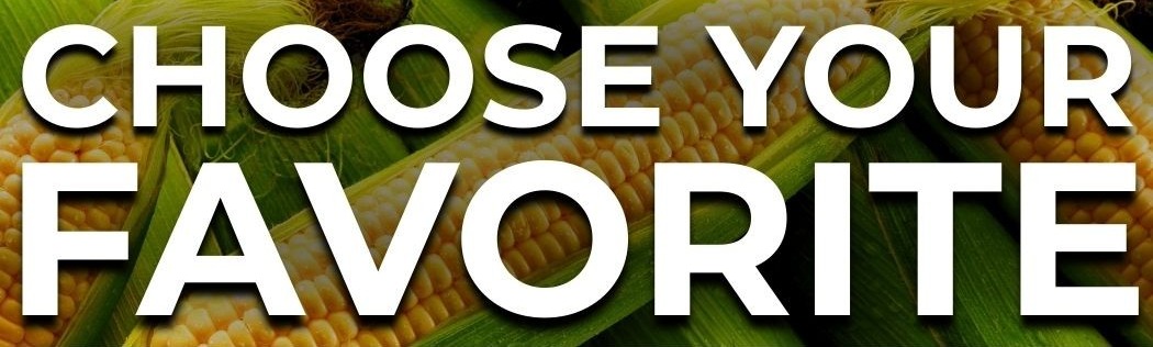Close-up of sweet corn ears in husks with the title "Sweet Corn Favorites."