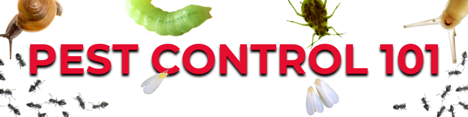 Banner with bold red text reading “Pest Control 101” surrounded by images of common garden pests including ants, aphids, caterpillars, whiteflies, and a snail on a white background.