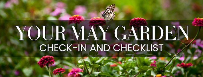 Colorful flower garden with a butterfly and text "Your May Garden: Check-In and Checklist"