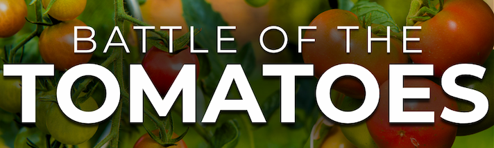 Tomatoes on the vine with text "Battle of the Tomatoes."