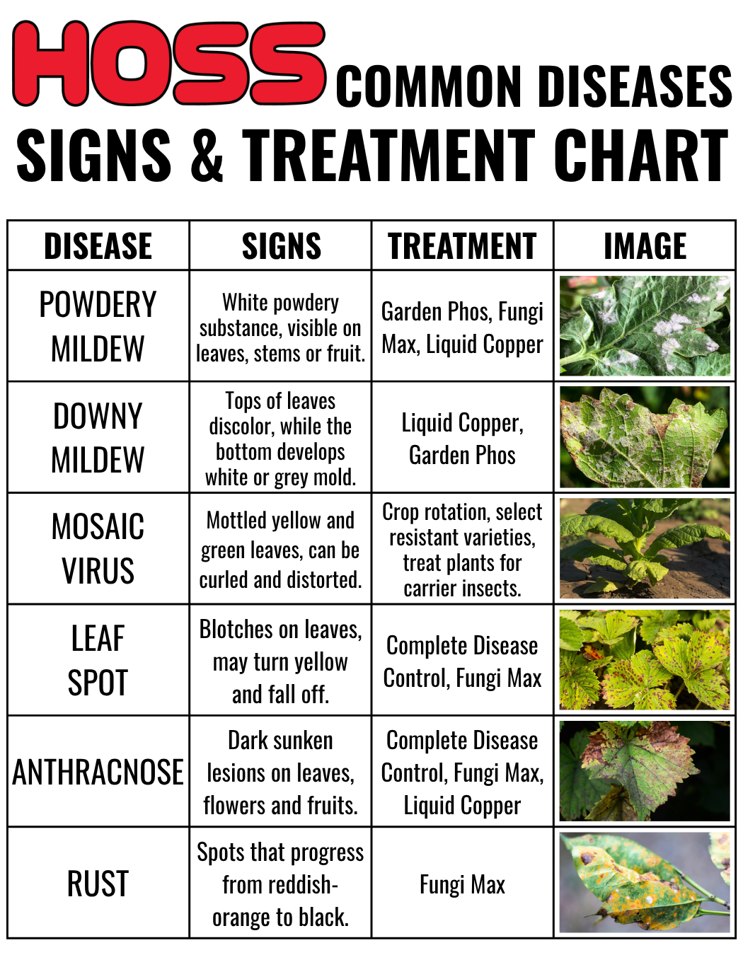 Common Plant Diseases Signs and Treatment Chart.