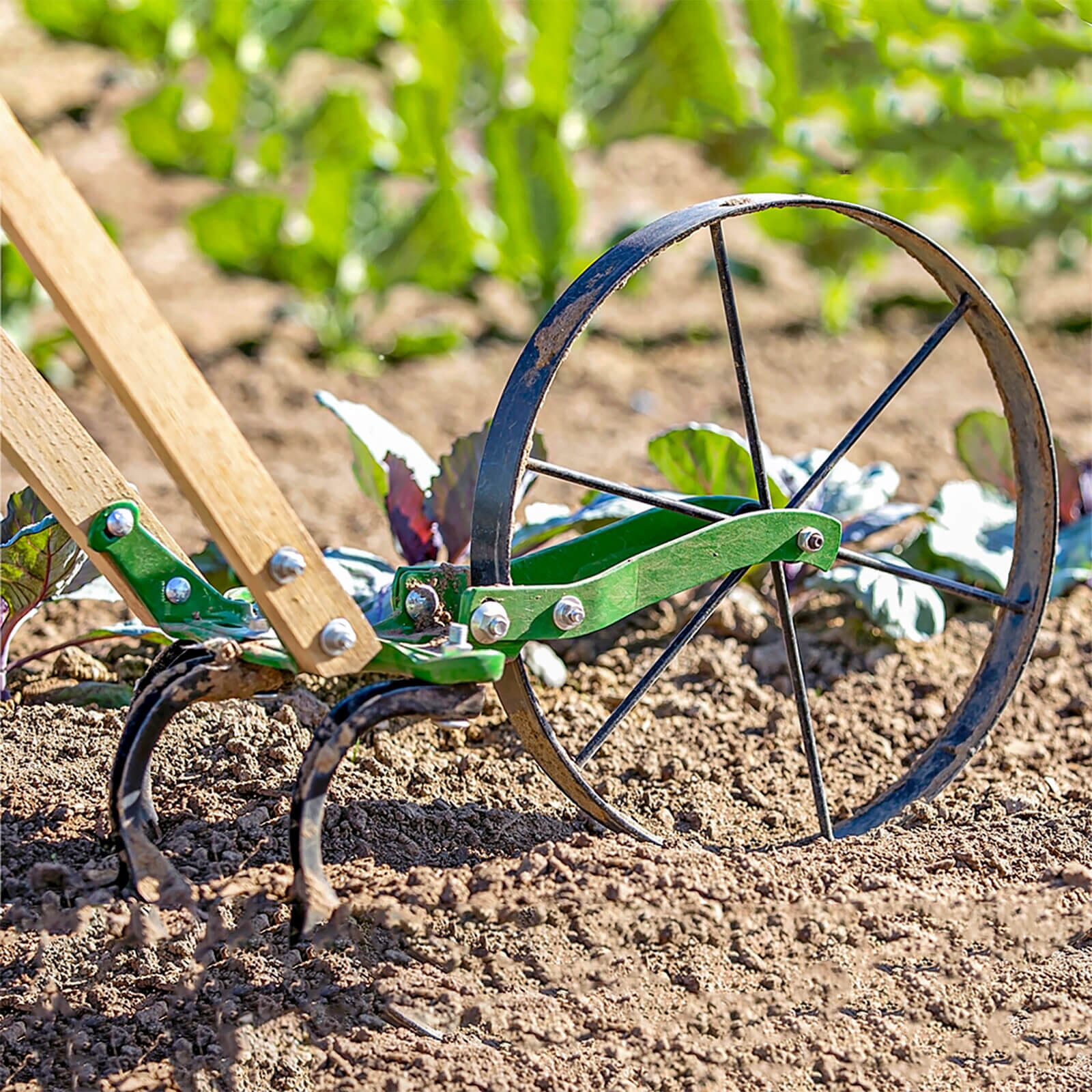 Image of Single Wheel Hoe