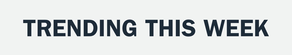 Section Header