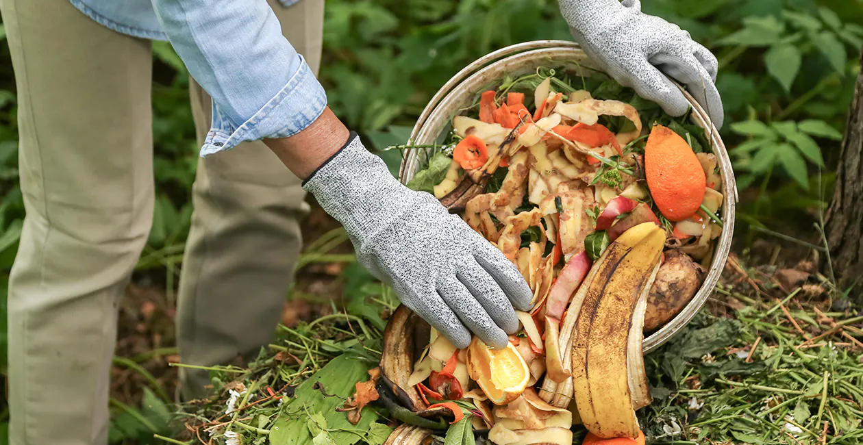 Tips on composting & conscious eating