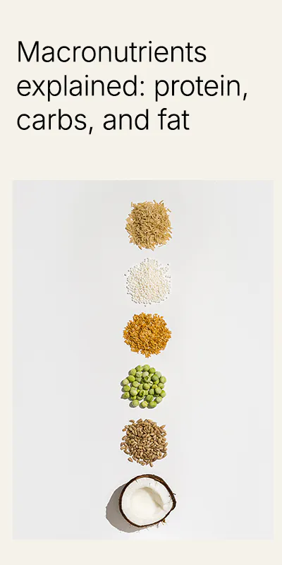 Macronutrients explained