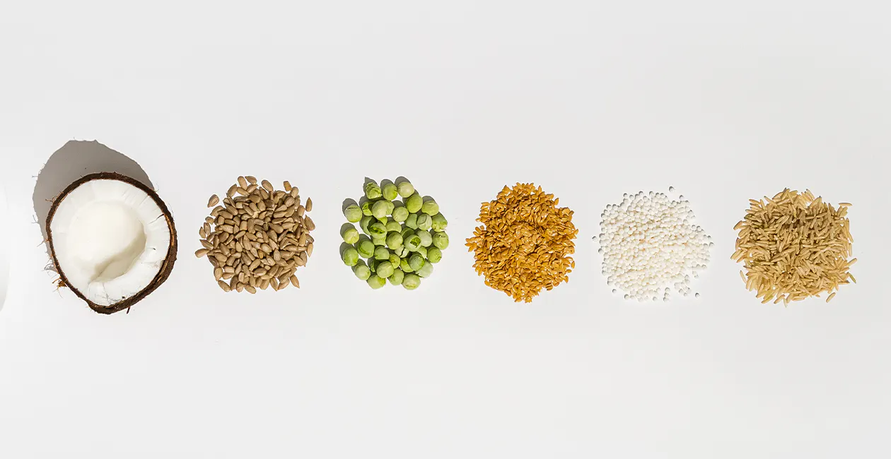 Macronutrients explained