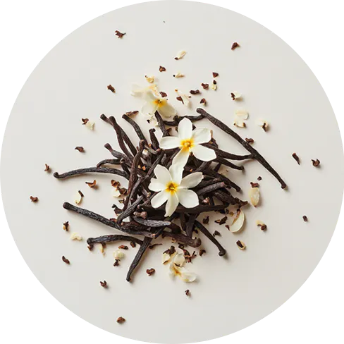 Vanilla