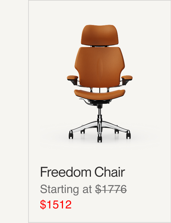 Freedom Chair