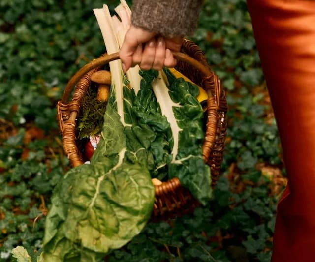How to plan this week's dinners to rev up your GLP-1 levels naturally