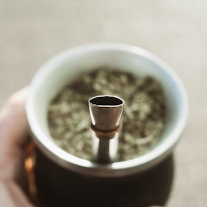 Can this traditional south american tea boost your GLP-1 Levels?