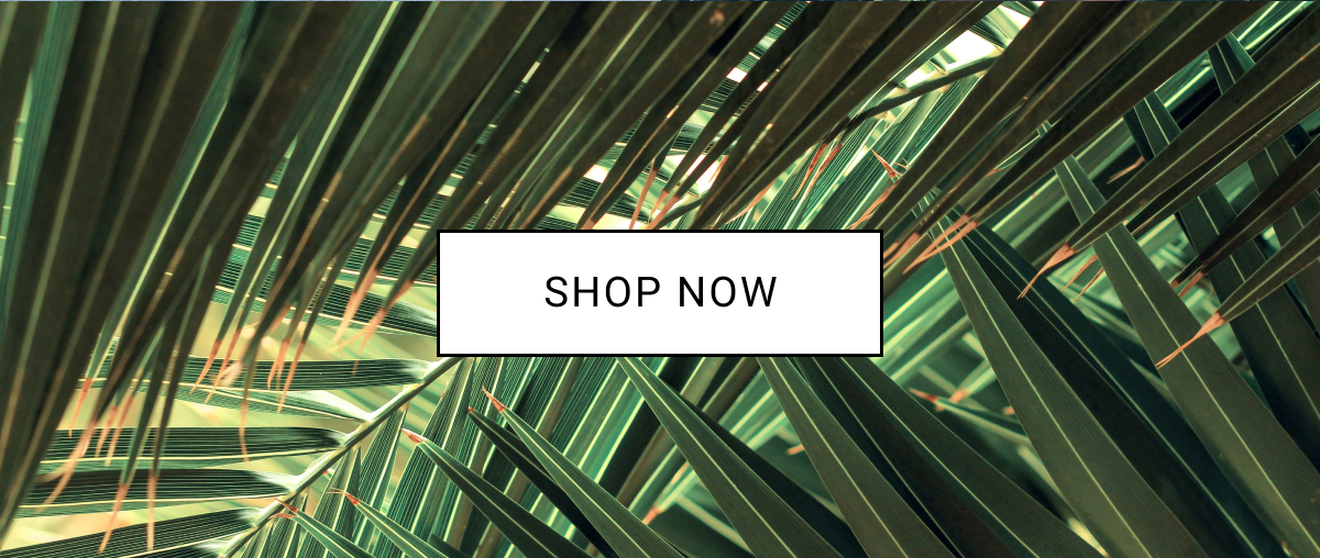 30% Off Swim & Tees