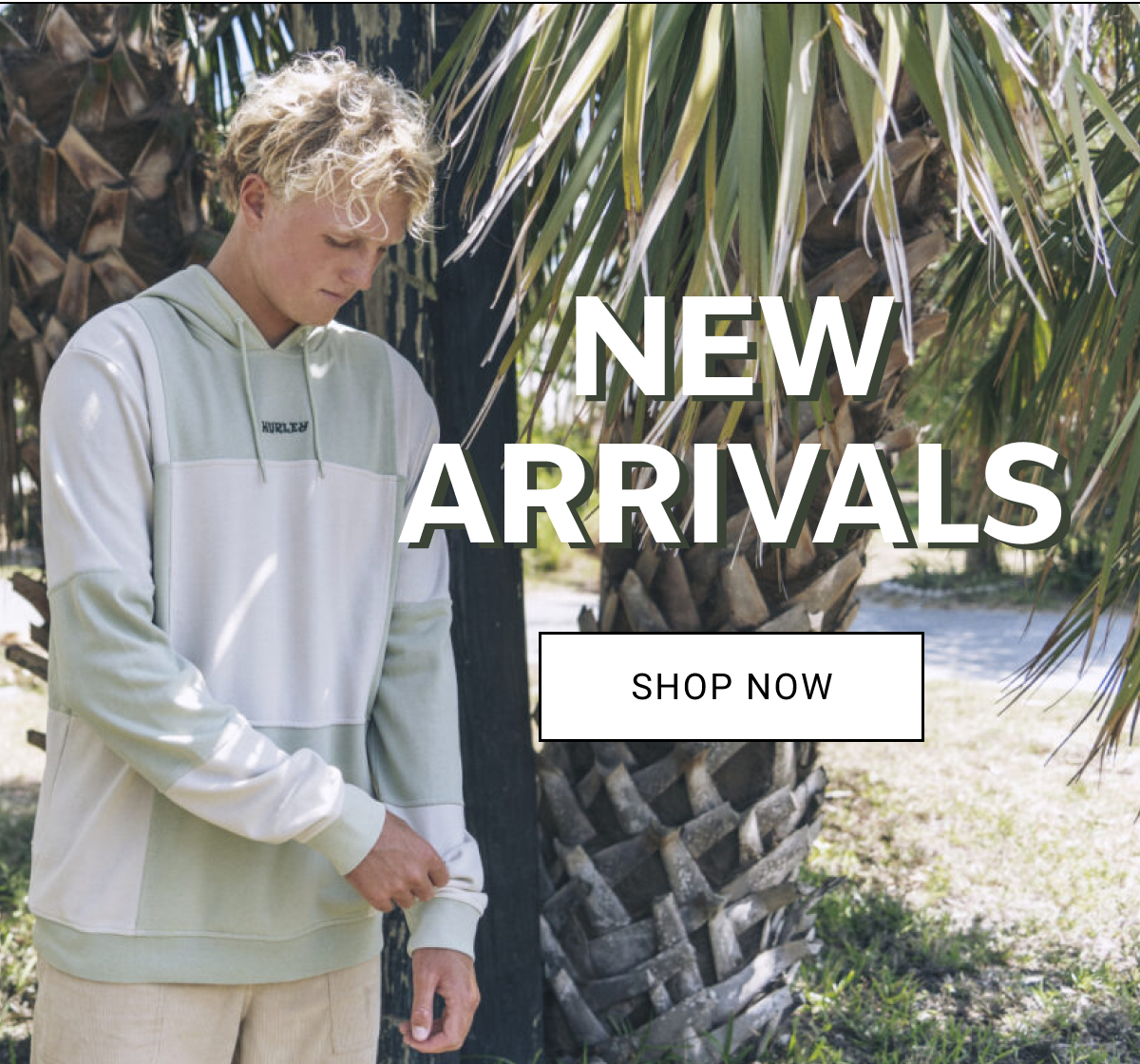 New Arrivals