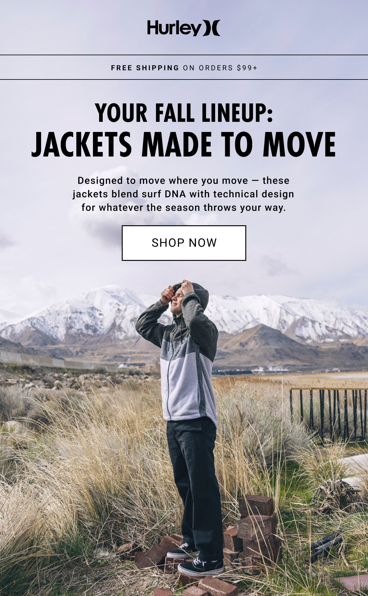 New Arrivals