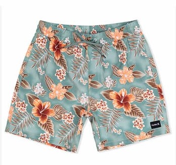 Cannonball Volley 17" Boardshort
