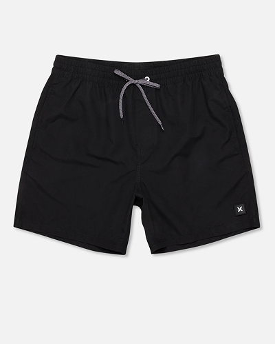 Icon Balboa Volley Boardshort 17"