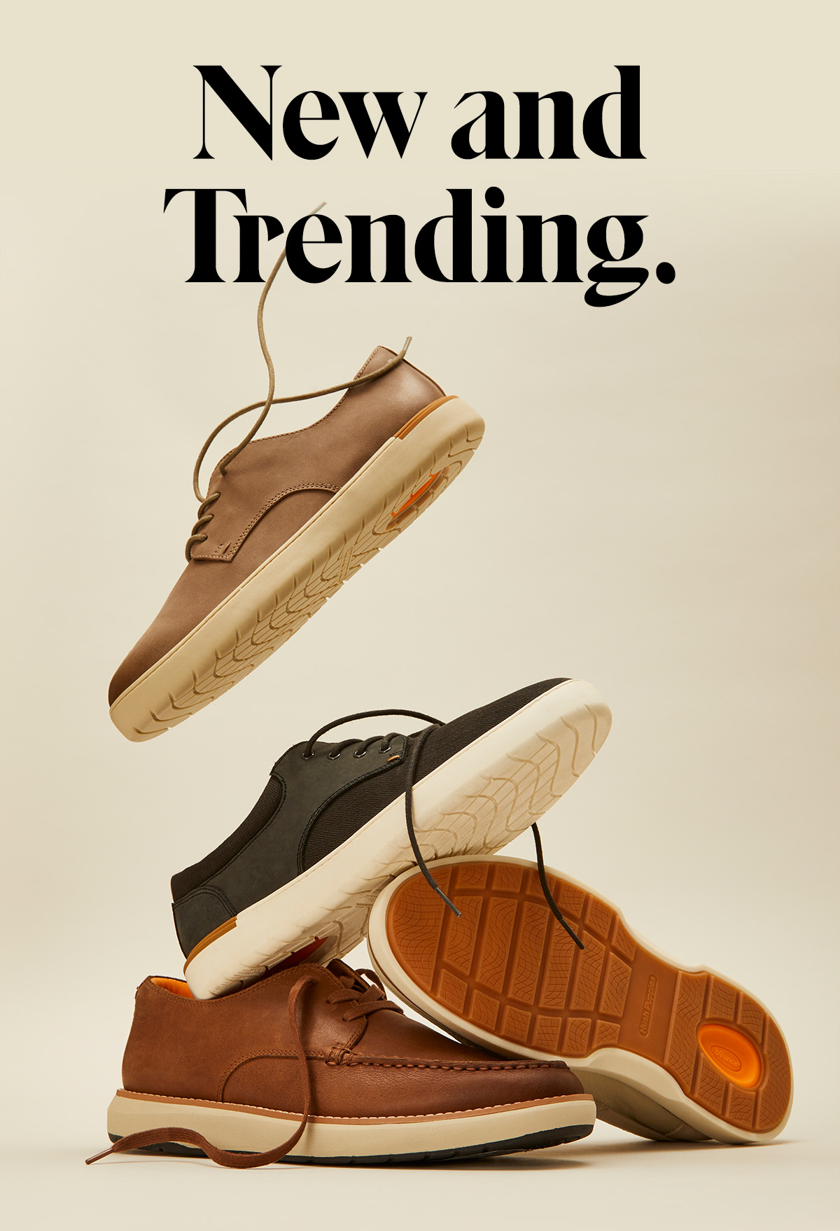 New and Trending.