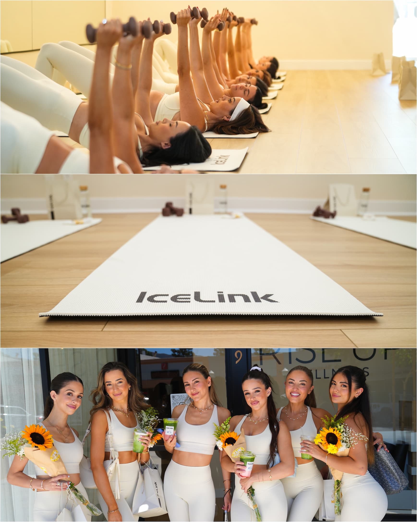 Eternal Skies IceLink Collection