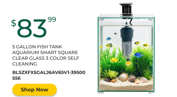 5 Gallon Fish Tank