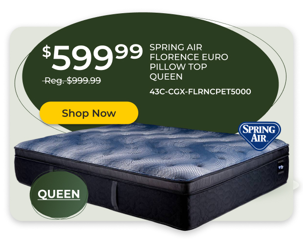 Spring Air Florence Euro Pillow Top Queen Mattress