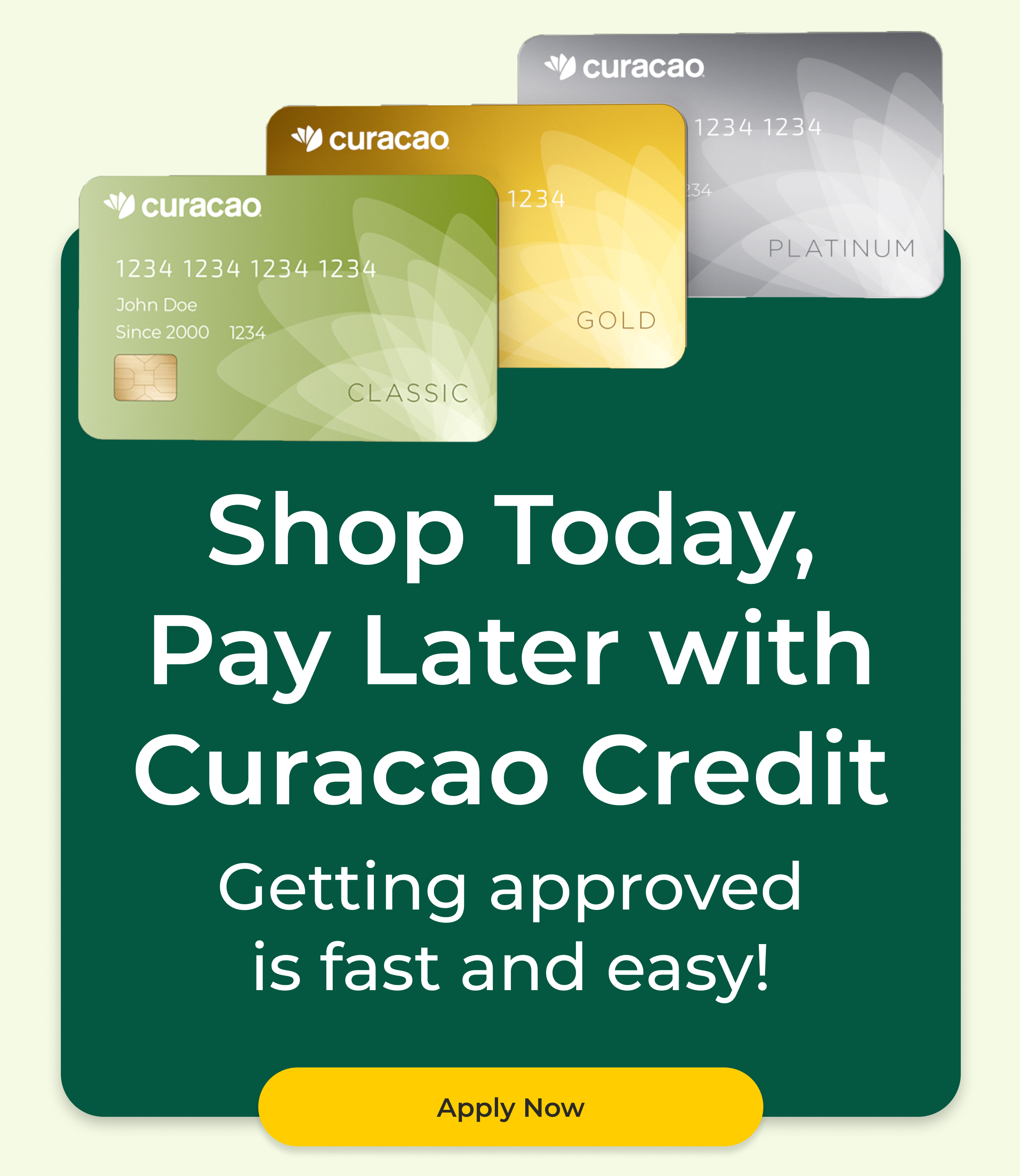 Shop today pay later