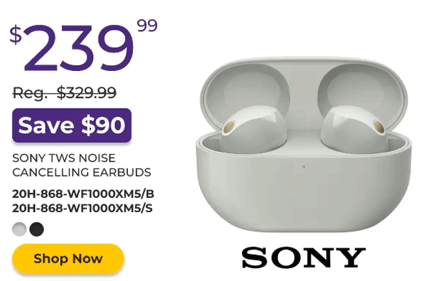 Sony Earbuds