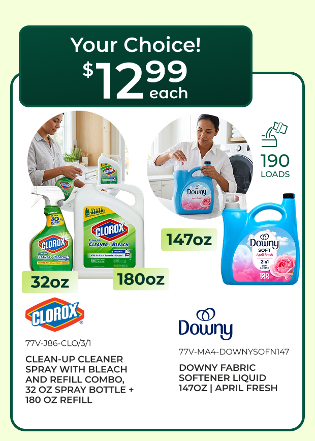 Clorox Cleaner & Downy Softener Liquid