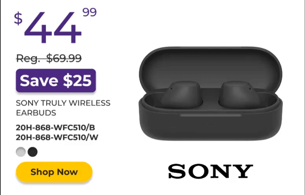 Sony Truly Wireless Earbuds